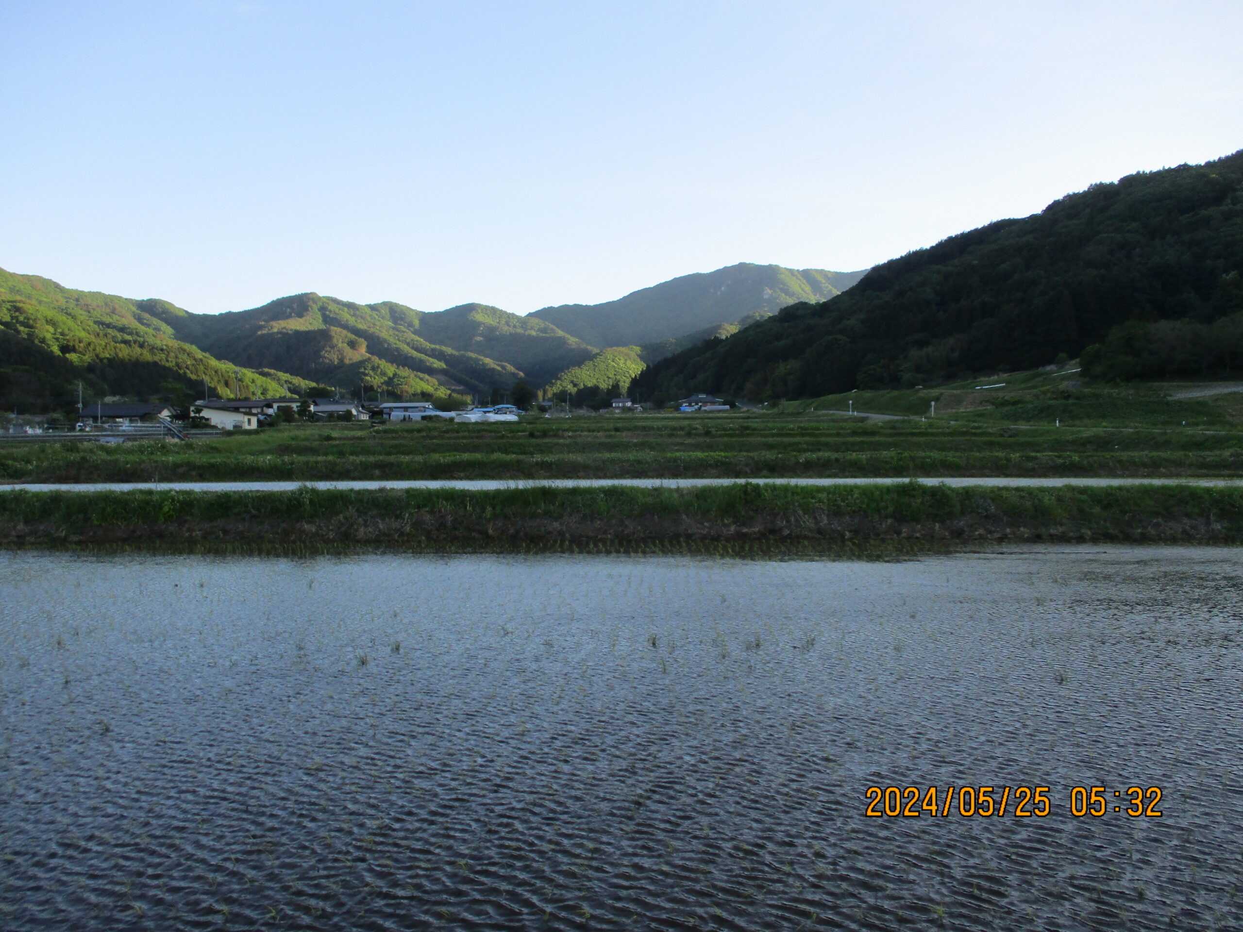 旧池田村に暮らすさいとうとしじのホームページ 旧池田村に愛犬と過ごしテニスで健康維持冬はスキーと狩猟活動暇つぶしに農作業と時給仕事